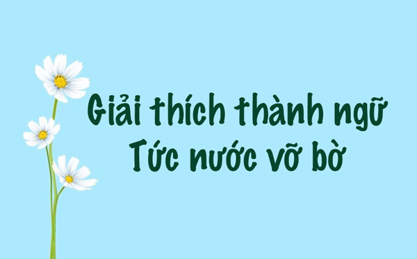 Nước Vỡ Bờ Gallery 2