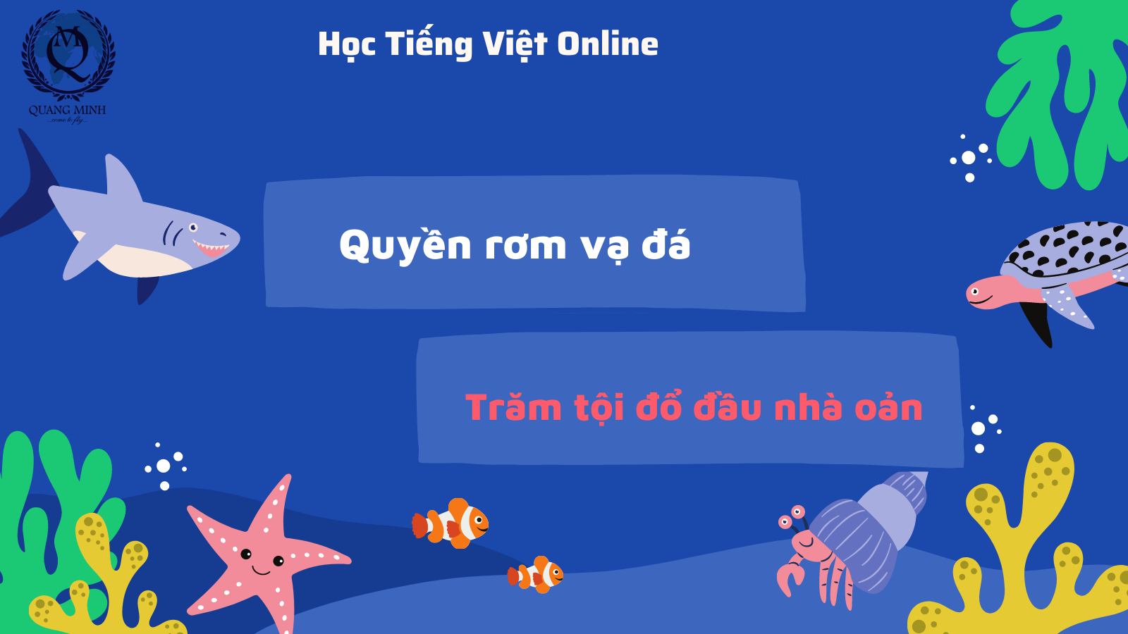 Quyền rơm vạ đá là gì? Gallery 2