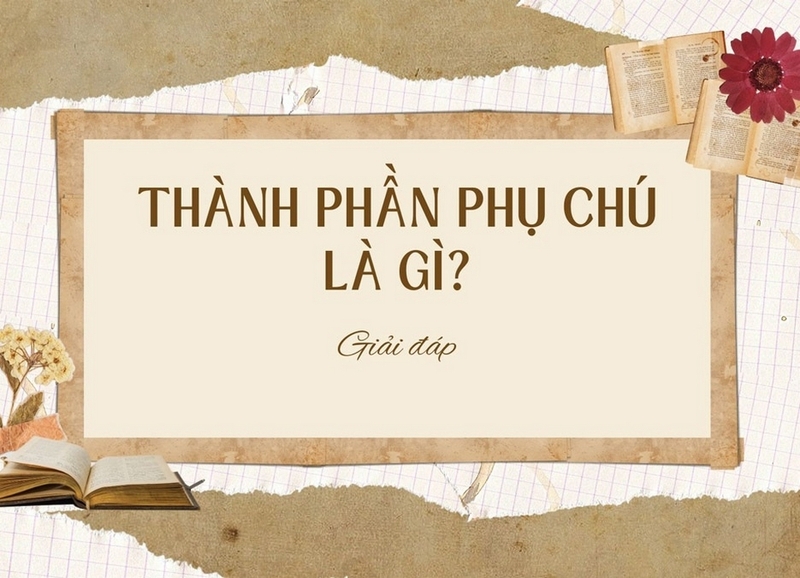 Thành phần phụ chú là gì? Gallery 2