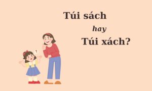 Thiện Trí Hay Thiện Chí? Sự Khác Biệt Và Cách Sử Dụng Gallery 2