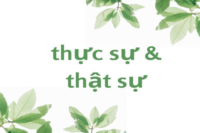 Thực sự hay Thật sự? Gallery 2
