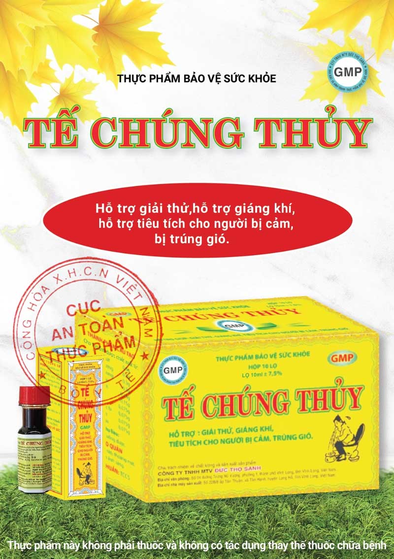 Thuốc 12 Ngọn Gió: Thông Tin Chi Tiết, Công Dụng Và Cách Sử Dụng Gallery 2