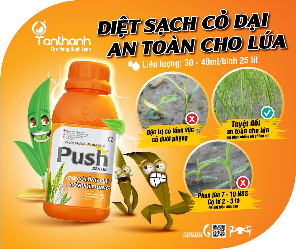 Thuốc Cỏ Hậu Nảy Mầm: Hướng Dẫn Sử Dụng và Lựa Chọn Hiệu Quả Gallery 2