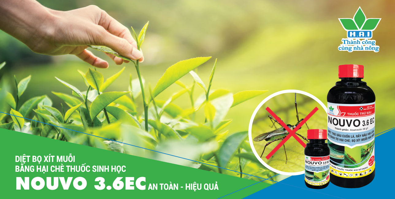 Thuốc Trị Bọ Xít Hiệu Quả Gallery 2