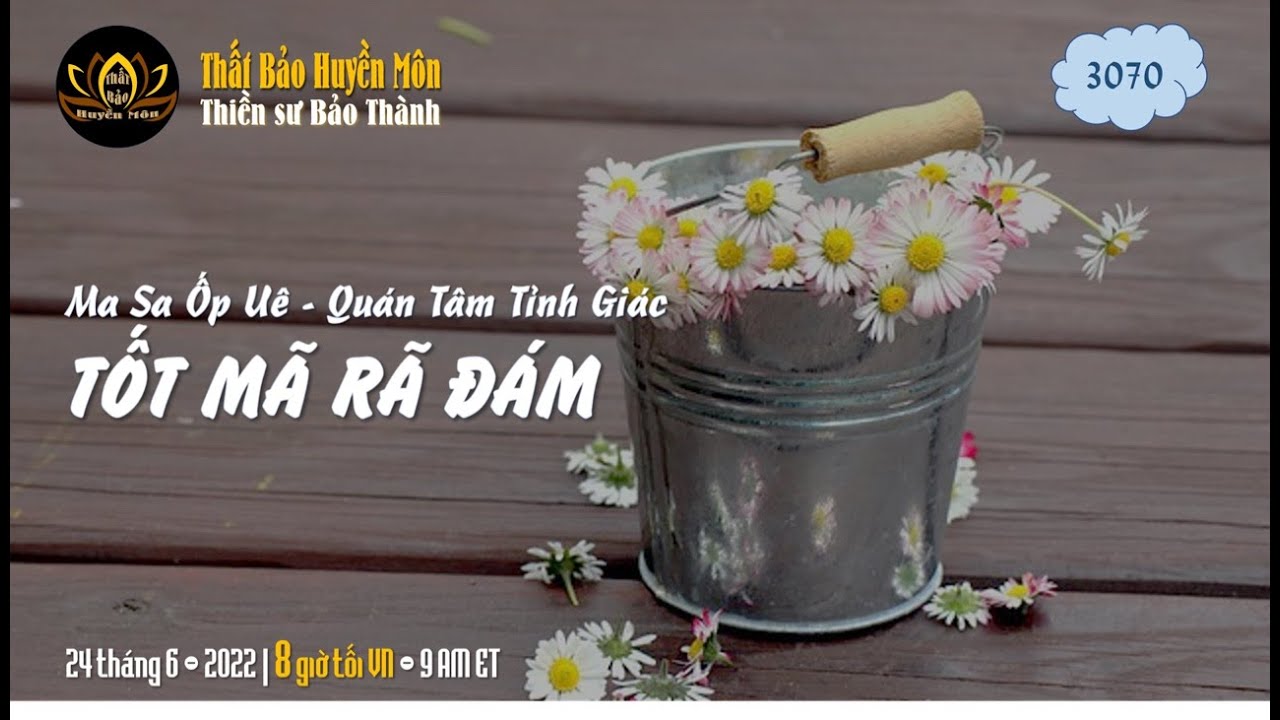Tốt Mã Rã Đám Là Gì? Gallery 2