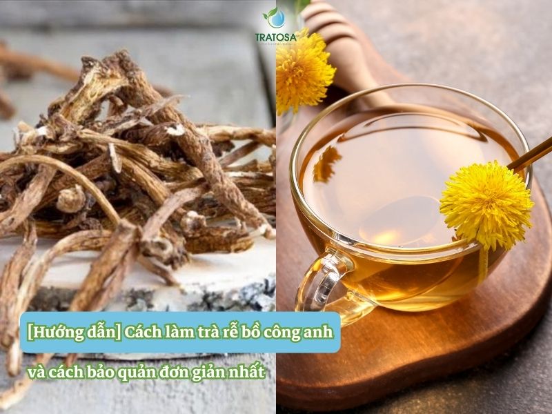 Trà Rễ Bồ Công Anh: Lợi Ích, Cách Sử Dụng Và Mua Ở Đâu? Gallery 2