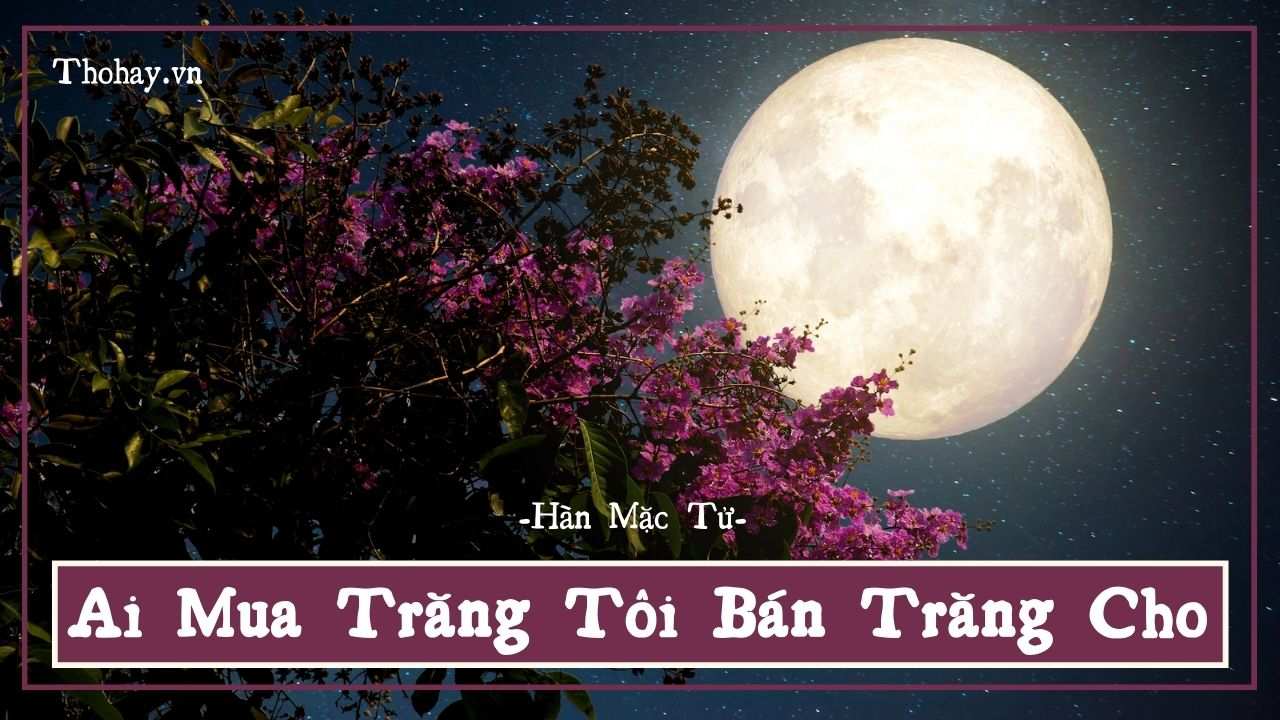 Trăng Vàng Trăng Ngọc Gallery 2