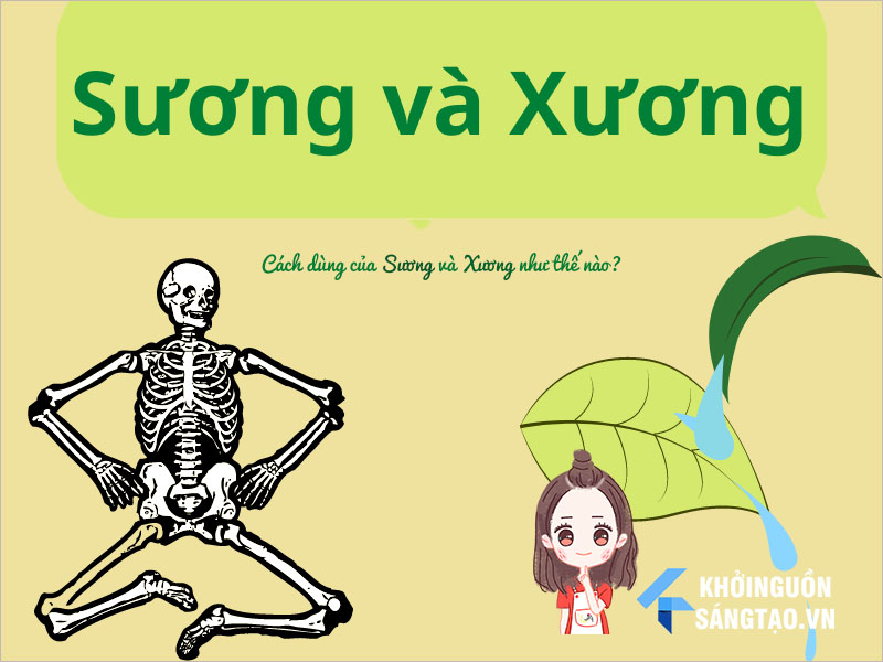 Xương xương hay sương sương? Gallery 2
