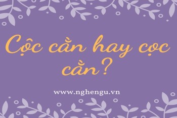 Trà trộn hay chà trộn? Gallery 2
