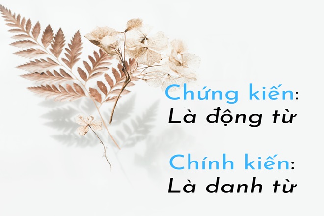 Chính kiến hay Chứng kiến? Gallery 2