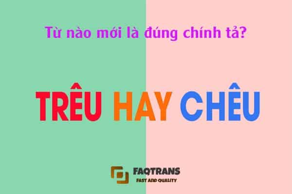 Trêu chọc hay trêu trọc? Gallery 2