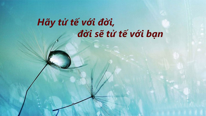 Bạc bẽo là gì? Gallery 2