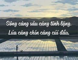 Điềm đạm nghĩa là gì? Gallery 2