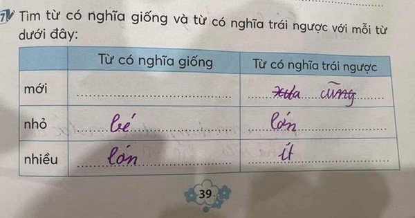 Từ Đồng Nghĩa Là Gì? Gallery 1