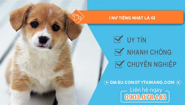 Con Chó Tiếng Nhật là gì? Gallery 1
