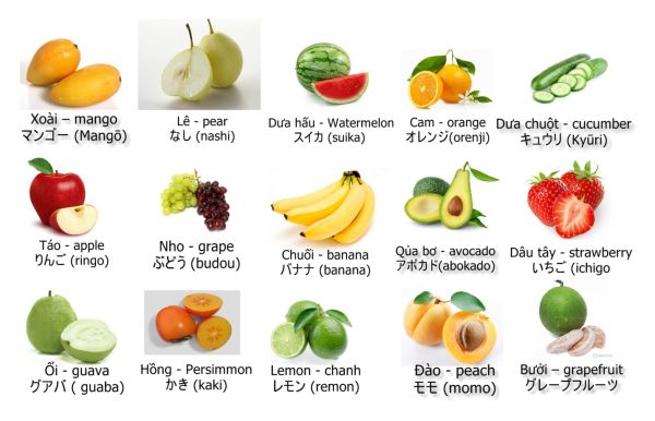 Quả mít tiếng Nhật là gì? Gallery 1