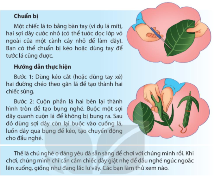 Xinh xắn là gì? Gallery 2