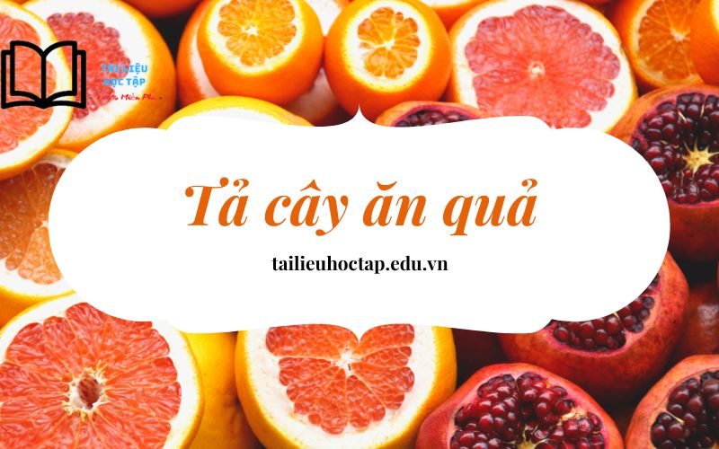 Văn Tả Cây Ăn Quả Lớp 5 Gallery 2