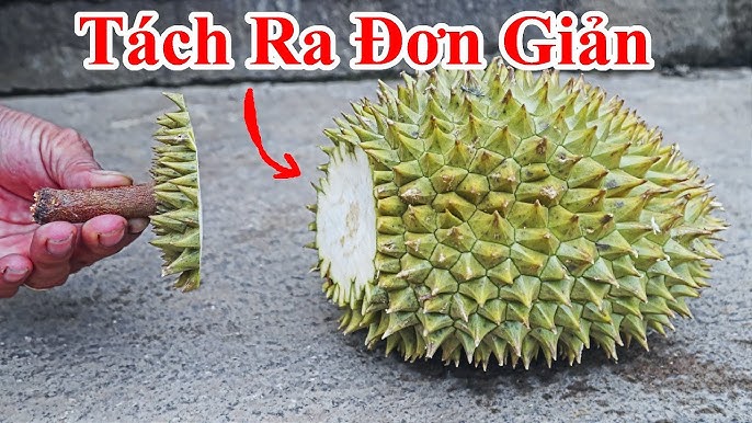Cách Tách Sầu Riêng Đơn Giản, Nhanh Chóng Và An Toàn
