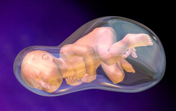 Cách Tăng Nước Ối 3 Tháng Cuối
