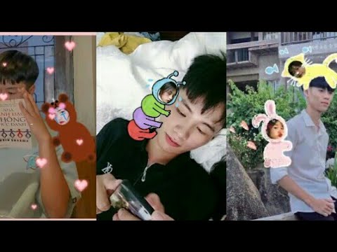 Gấu Ghép Mặt Là Gì? Hình Ảnh, Video Và Thông Tin Chi Tiết Gallery 1