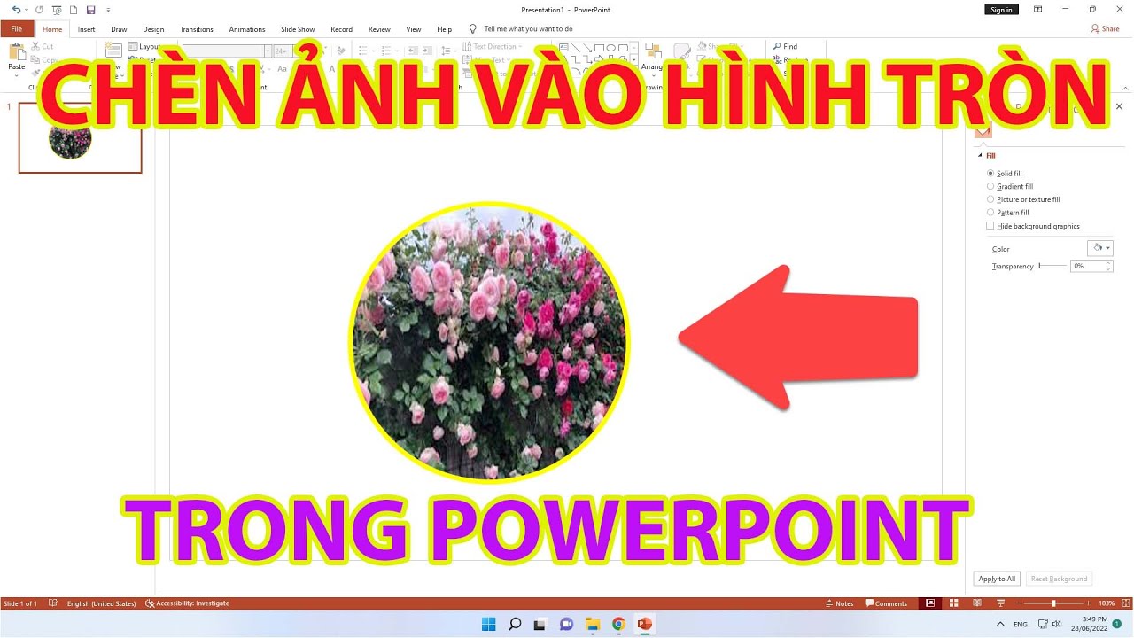 Cách tạo khung tròn cho ảnh trong PowerPoint