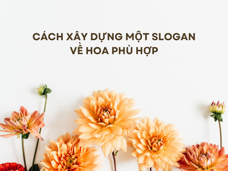 Slogan về Hoa: Những Câu Slogan Hay và Ý Nghĩa Nhất Gallery 2