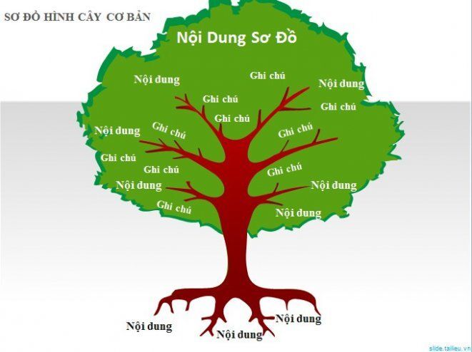Sơ Đồ Hình Cây Đẹp: Hướng Dẫn Tạo Và Ứng Dụng Gallery 2