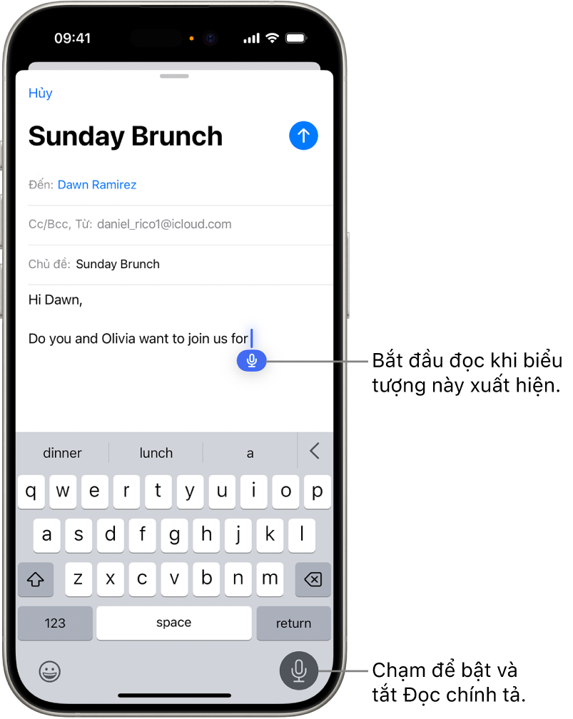 Cách Tắt Đọc Chính Tả Trên iPhone