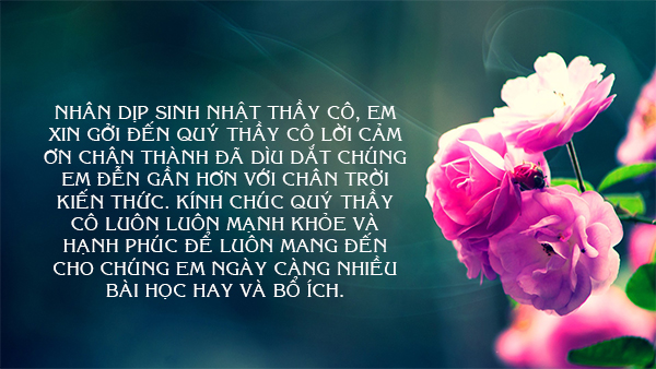 Lời Cảm Ơn Sinh Nhật Hay Nhất Gallery 2