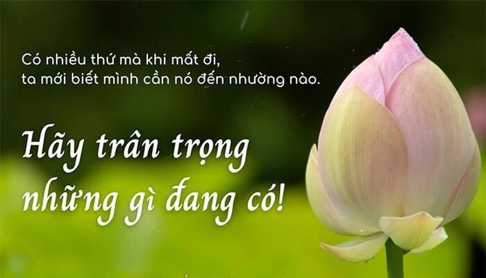 Trân trọng tình yêu là gì? Gallery 2