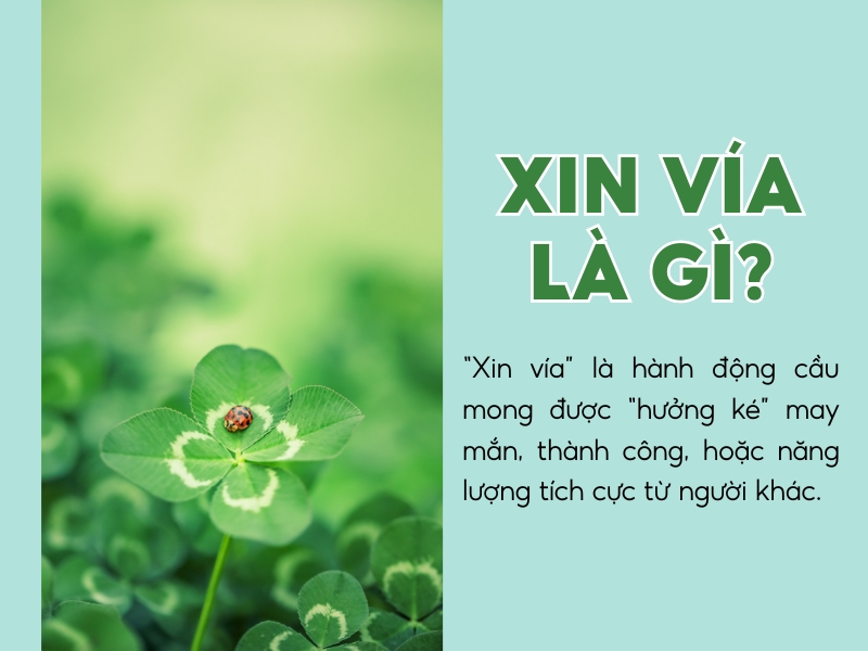 Lấy vía là gì? Gallery 2