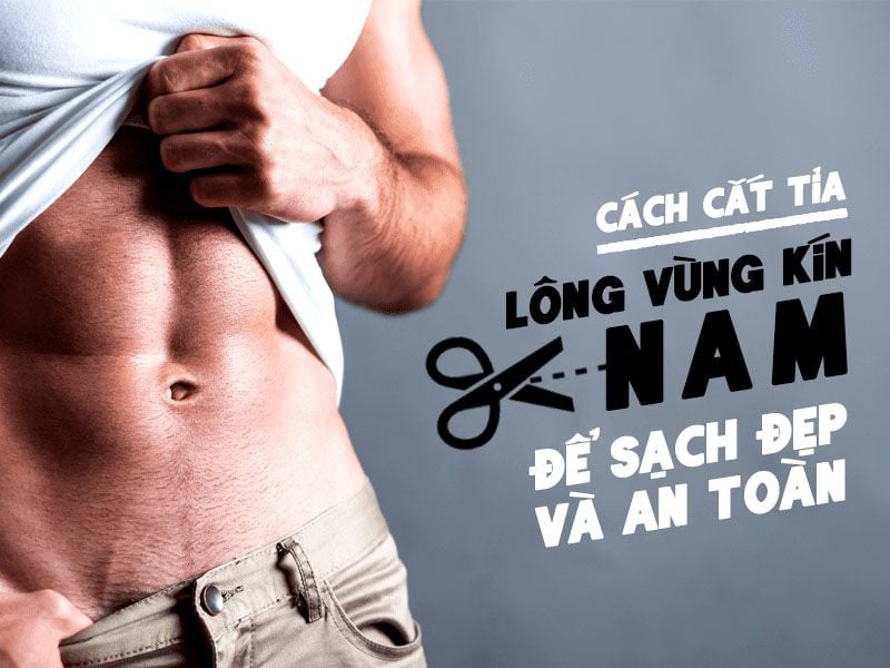 Cách Tỉa Lông Chim