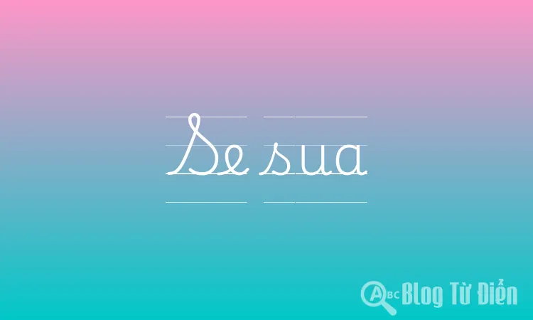 Se Sua Nghĩa Là Gì? Gallery 2