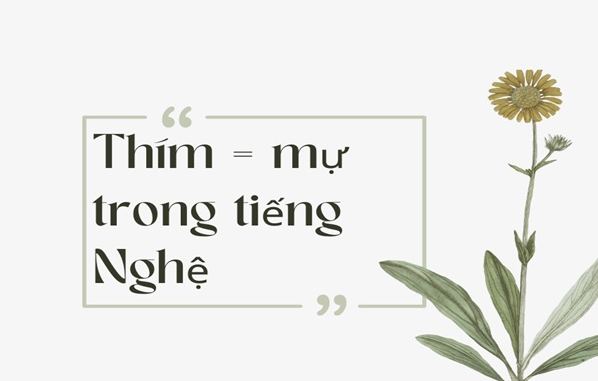 Chú thím quê ở đâu? Gallery 1