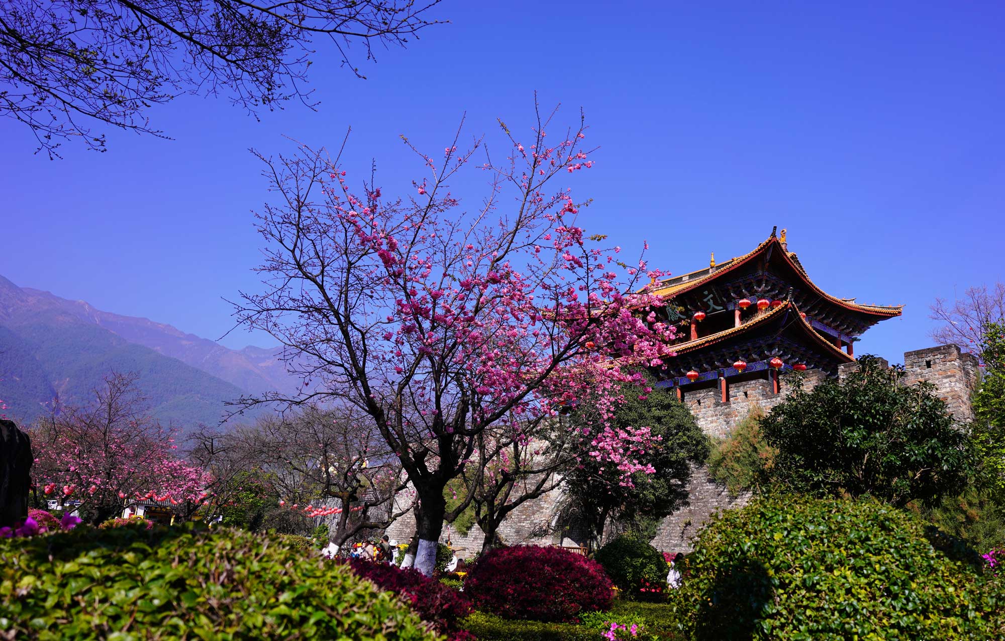 Thôn Vân Miêu Đại Lý Gallery 2