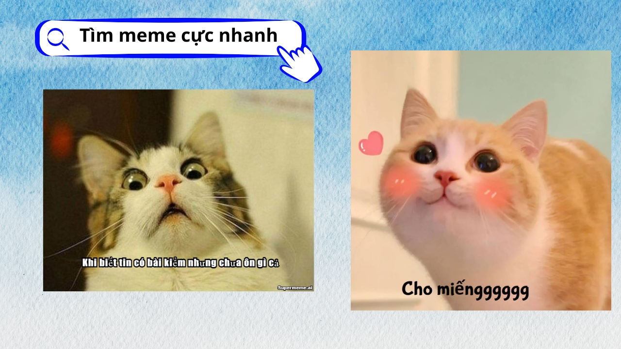 Meme Ảnh: Tổng hợp những bức ảnh hài hước nhất Gallery 2