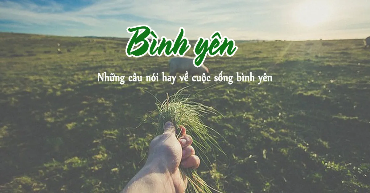 STT Cuối Tuần Bình Yên: Những Câu Nói Hay Về Sự Thư Giãn Và Hạnh Phúc Gallery 2