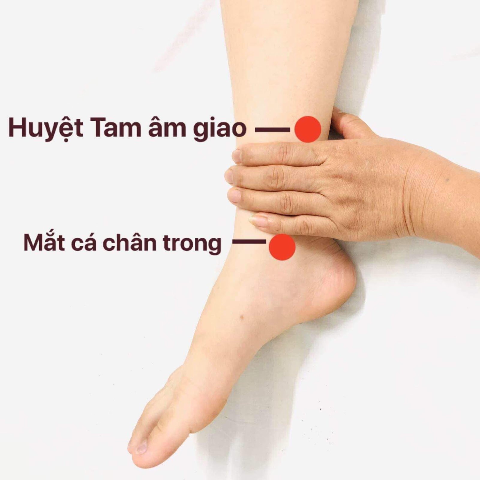 Tâm huyết là gì? Bí quyết để sống một cuộc đời trọn vẹn với đam mê Gallery 2