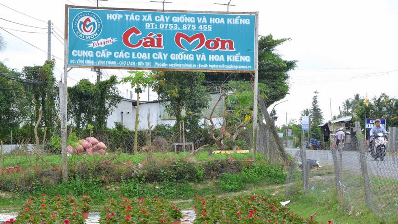 Số Điện Thoại Vườn Trái Cây Cái Mơn Gallery 1