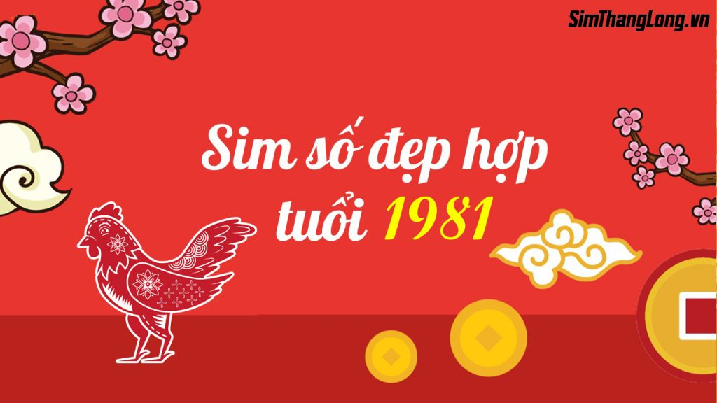 Sinh năm 1981 hợp số nào? Gallery 1