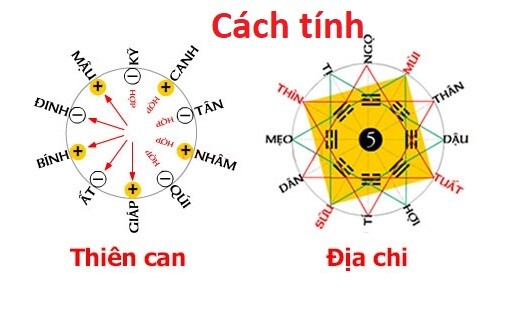 Cách Tính Cân Chi
