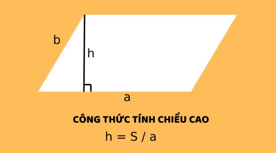 Chiều Cao Hình Bình Hành Gallery 1