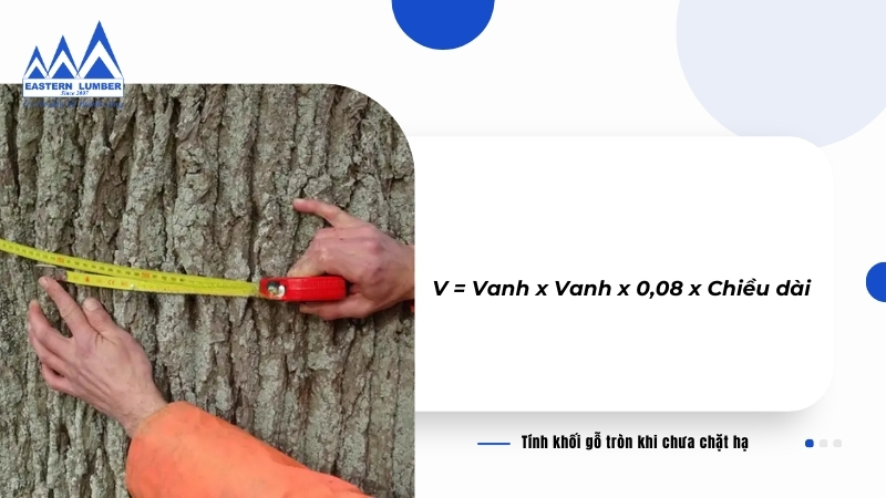 Cách Tính Khối Cây Tròn Gallery 2