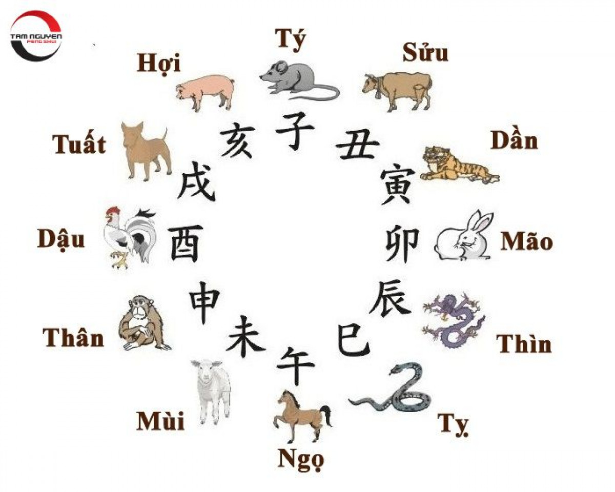 Năm con khỉ là năm bao nhiêu? Gallery 1
