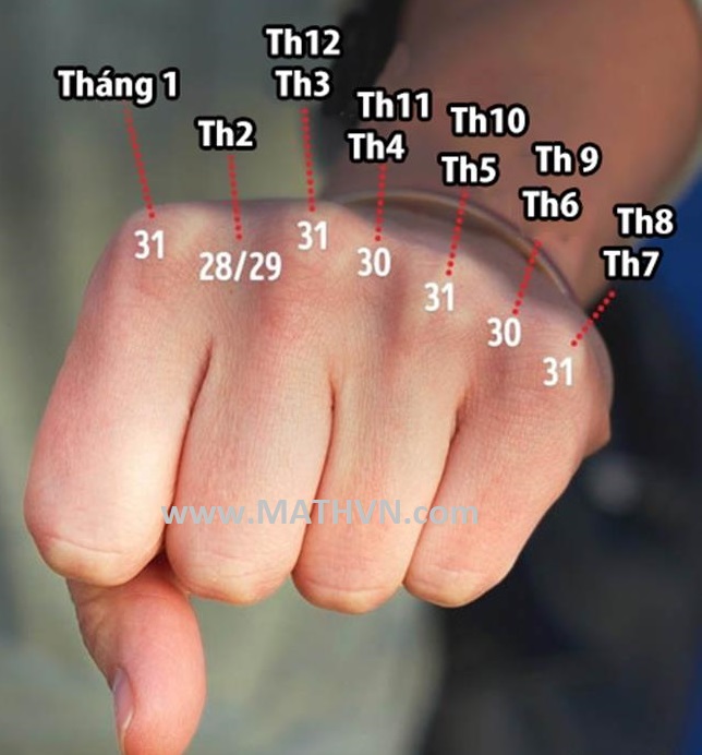 Cách Tính Ngày Tháng Chính Xác và Hiểu Biết Lịch