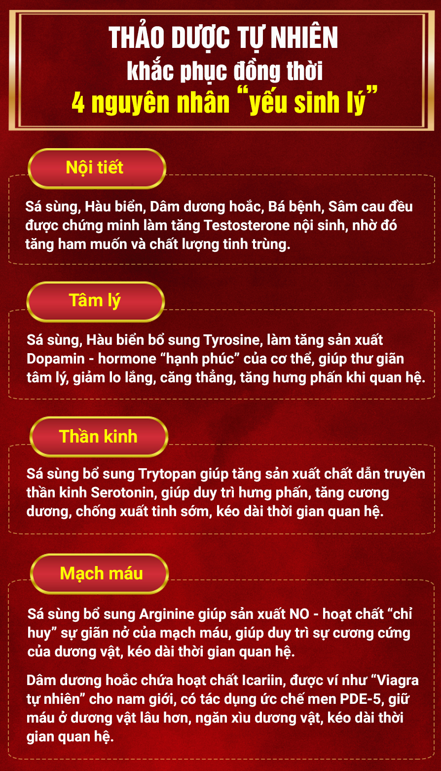 Sinh Thần Cương Là Gì? Gallery 2