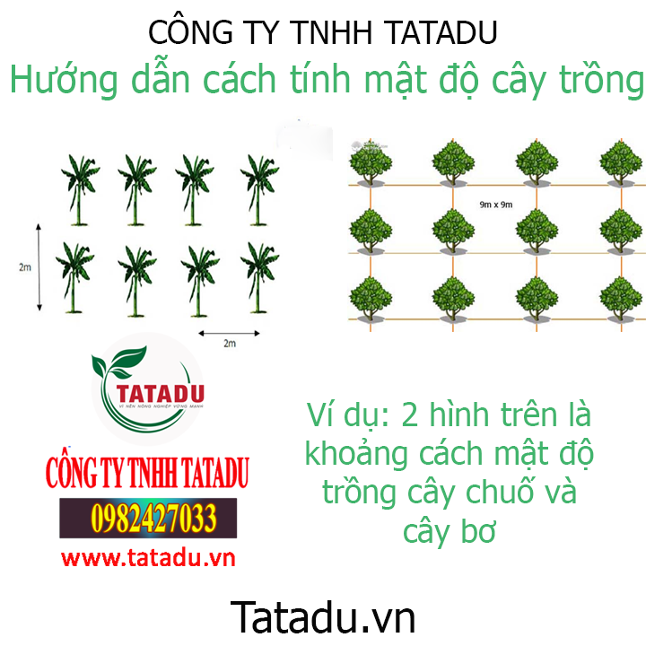 Cách Tính Số Cây Trồng Trên Diện Tích