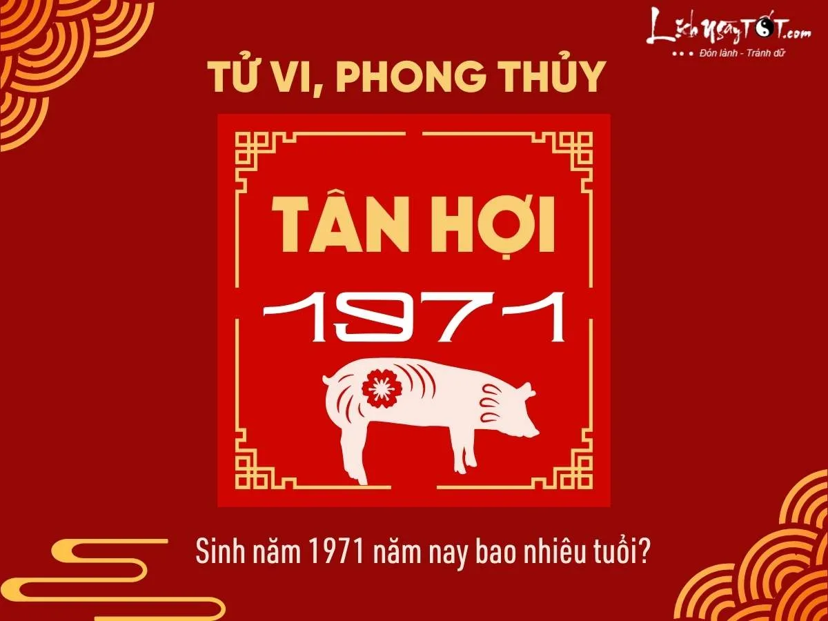 Sinh năm 1971 là bao nhiêu tuổi? Gallery 1