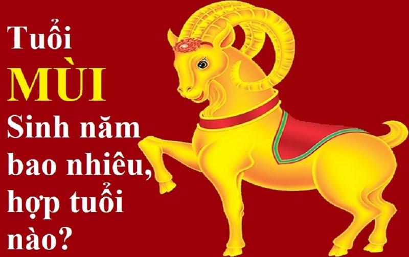Tuổi Con Dê Năm Nay Bao Nhiêu Tuổi Gallery 1